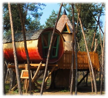 Casa del árbol de barril
