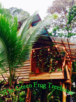 La romántica casa del árbol de la rana verde
