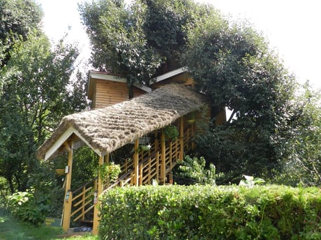 Das Manali-Baumhaus