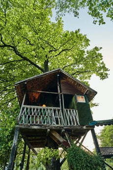 Treehouse 150 Ljubljana photo 86