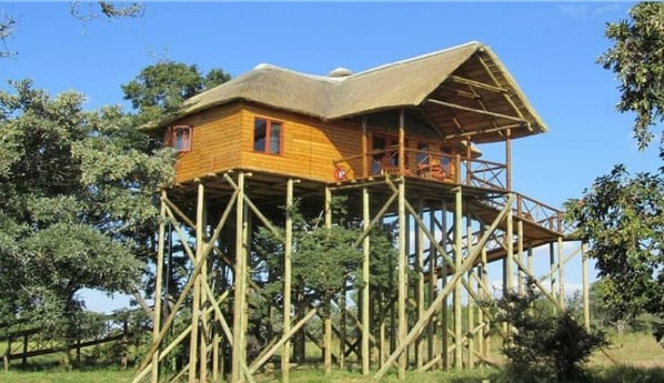 Mountain View Tree House