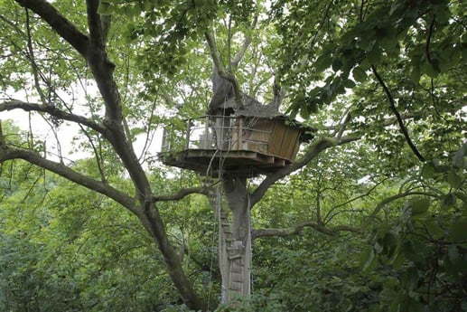 Casa del árbol con vista
