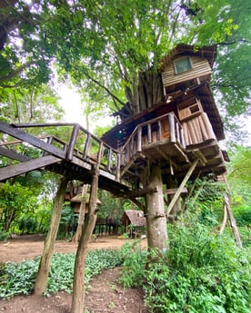 Treehouse 50 Doi Saket photo 7