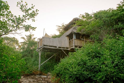 The Saba treehouse from outside