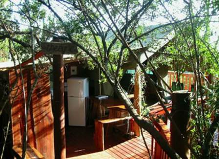 A peek into the Eyrie