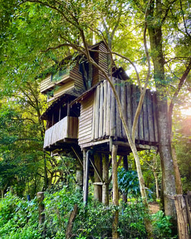 Treehouse 50 Doi Saket photo 8