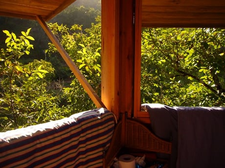 Beautiful views from the tree house
