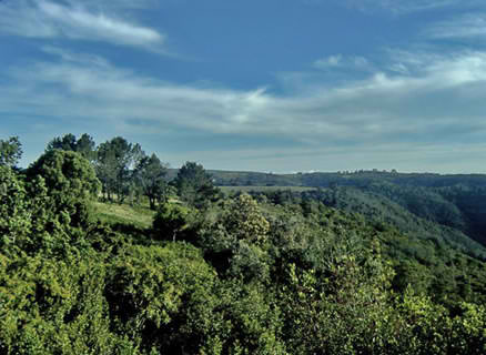 Majestuosas vistas panorámicas