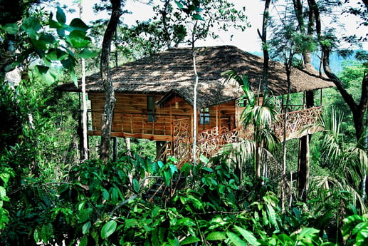 Casa del árbol 25 Wayanad foto 3