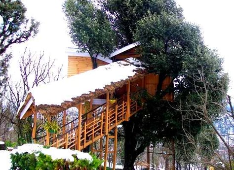 La casa del árbol durante el invierno.