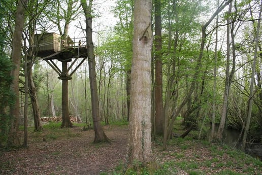 Dieses Baumhaus liegt 10 Meter über dem Boden