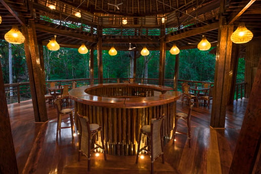 Treehouse air bar