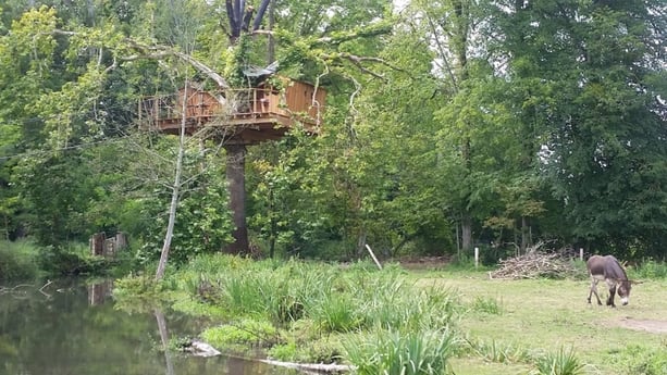 Treehouse in an Island