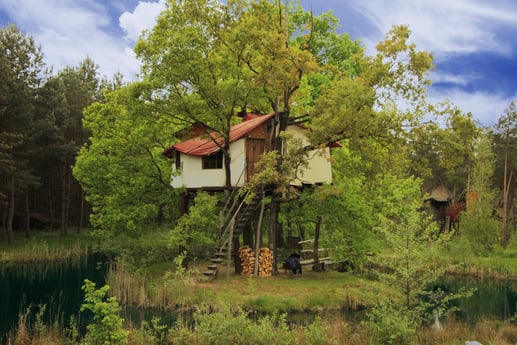 Casa del árbol en la isla - Exterior