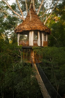 Treehouse double appartment