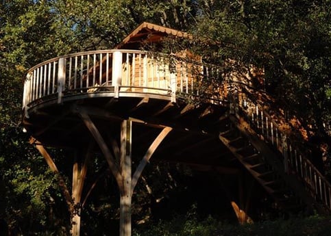 Treehouse with Round Sunny Terrace