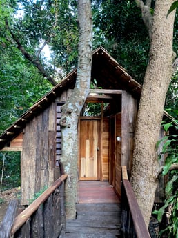 Baumhaus 49 Zwei Saket Foto 11