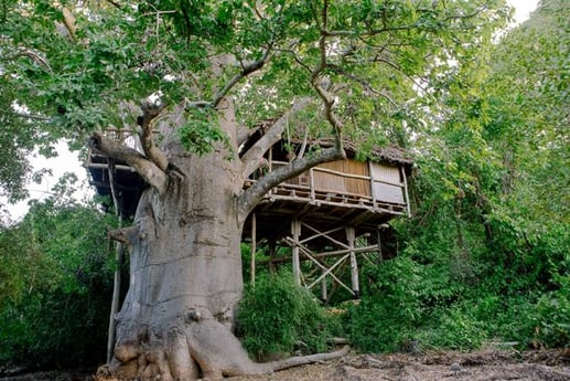 Ein Baumhaus
