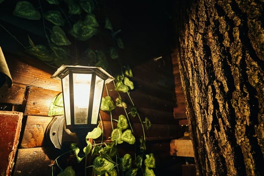 Treehouse 150 Ljubljana photo 89