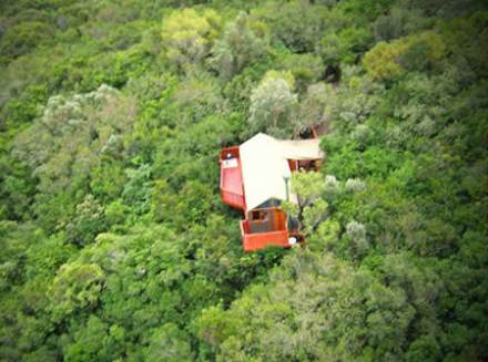 A view of the Eyrie Family Treehouse  from above