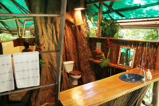Tree House toilet
