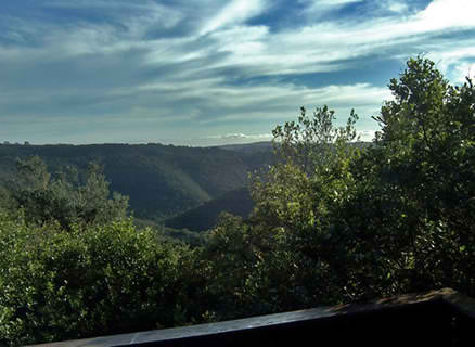 Une vue depuis la cabane dans les arbres