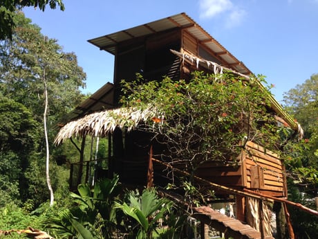 The Green Frog Treehouse