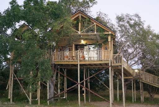 The treehouse as seen from below