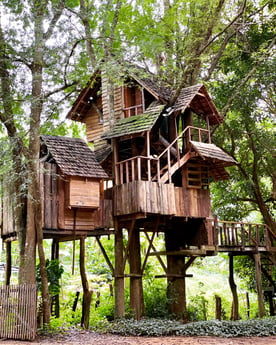 Treehouse 50 Doi Saket photo 9