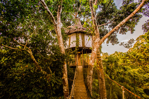 Treehouse appartment