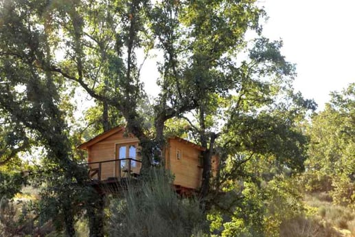 The Bosque Treehouse from afar