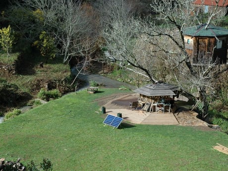 Overview of the tree house