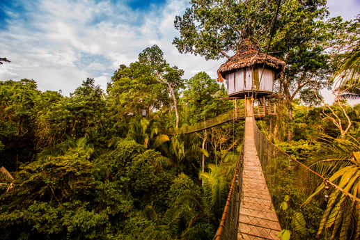 Bridge to Treehouse appartment