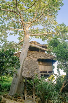 Tea house treehouse