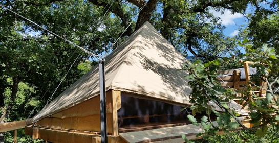 Natural tree house