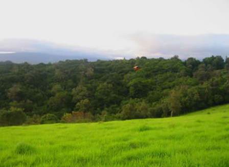 That's the Eyrie out there