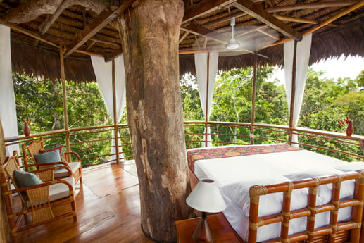 Treehouse air suite