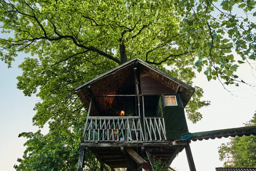 Treehouse 150 Ljubljana photo 85