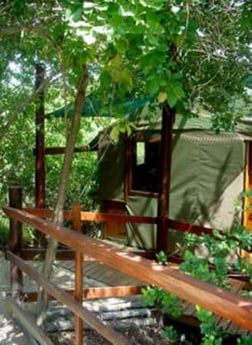 Tienda de campaña en la casa del árbol