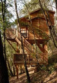 Lofty Two-Storey Treehouse