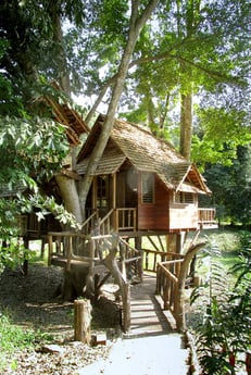Isn't that a charming treehouse?