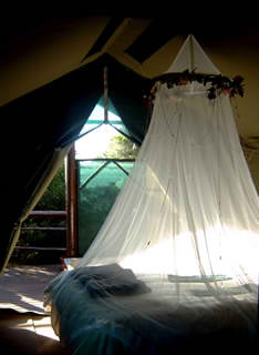 La cama