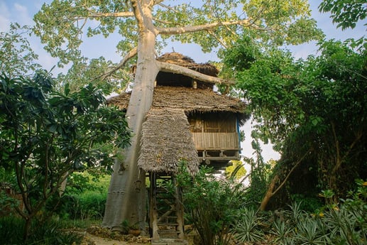 Treehouse in Tanzania