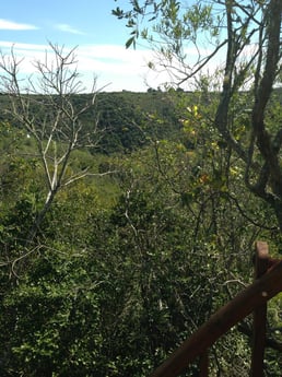 Une des vues depuis la cabane dans les arbres