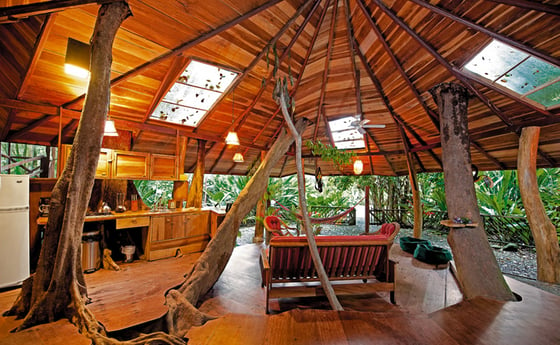 Tree House living room 2