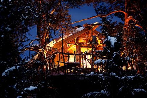 Beautiful Norway tree house