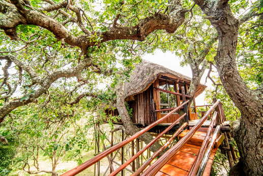 Another view of the Honeymoon Treehouse