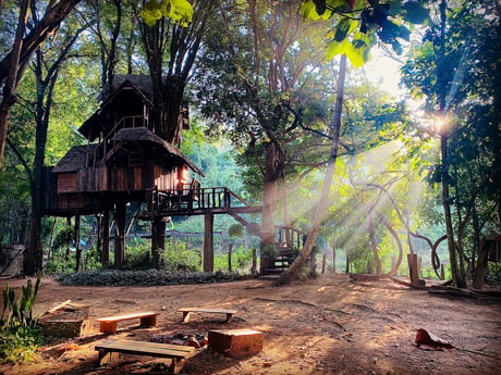 Treehouse 50 Doi Saket photo 11