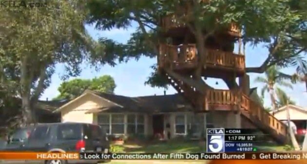 Orange County treehouse
